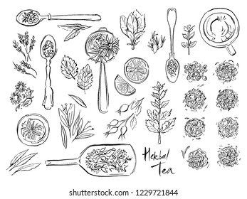 Illustrations of herbal and flower tea.