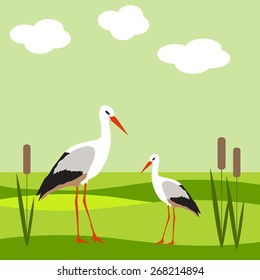 Illustrations heron in the reeds, warm sunny summer