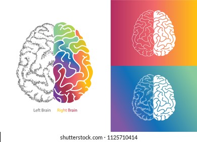 Illustrations of Human Brain