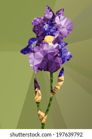 illustrations iris flower on a green background