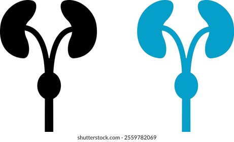 Illustrations of kidneys, for design on a medical theme