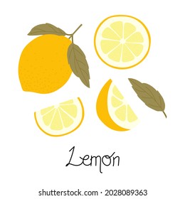 Ilustraciones de un limón con dos hojas, lonchas de limón e inscripción a mano. Dibujo vectorial de doodle lindo en colores agradables. Aislado sobre fondo blanco.