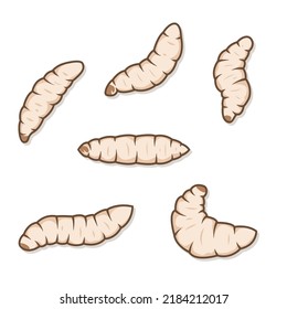 Illustrations of maggots worms isolated on white background