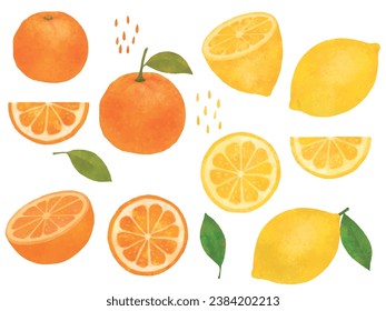 Ilustraciones de naranjas y limones; mandarinas, cítricos, rodajas redondas, cortes, acuarelas y escritura a mano.