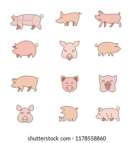 Illustrations of pigs. A set of different kinds of piglets in a flat style, different options, vector logos of pigs, a symbol of the new year. Different styles of pig muzzle and body.