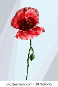 illustrations poppy on a light background.
