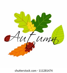 illustrations with pumpkins with fall leaves on white background