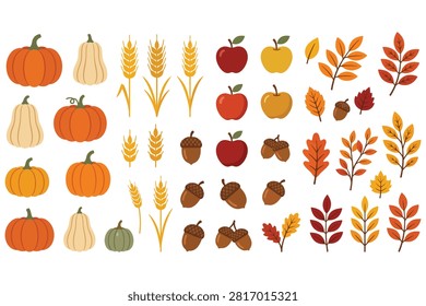 Illustrations of pumpkins squash wheat ears apples acorns and autumn leaves on transparent background