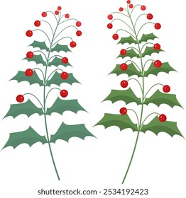 Illustrations of red berries, on an isolated background as a Christmas decoration