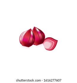 ILLUSTRATIONS OF RED ONION