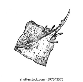 Illustrations " Sea depths ".