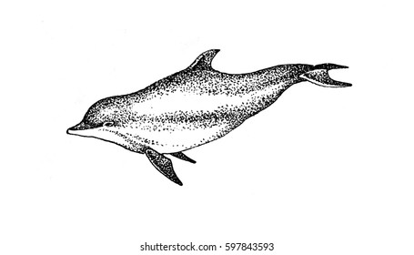 Illustrations " Sea depths ".