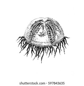 Illustrations " Sea depths ".