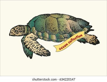 Illustrations " Sea depths ".
