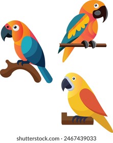 Ilustraciones conjunto de coquetos loros coloridos colores encantadores de tonos suaves y soñadores de las plumas naranja, amarillo y azul 