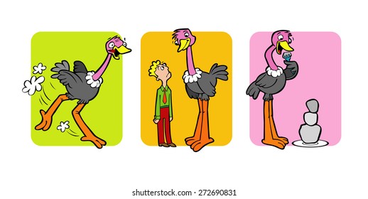 The illustrations shows that the ostrich run fast, taller than human and eats stones, to help him make other food smaller. 