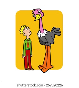 The illustrations shows that the ostrich taller than human.