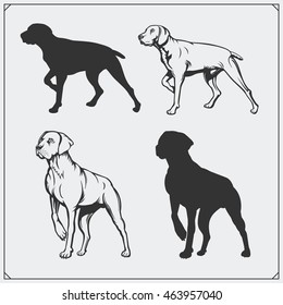 Illustrations and silhouettes of dogs. Black and white design.