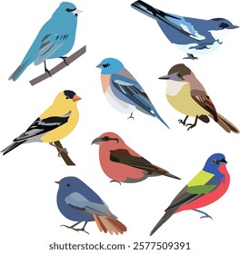 Illustrations of small birds, bluebirds, and red birds highlight their delicate features and vibrant colors. 