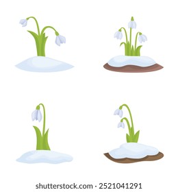 Illustrations of snowdrop flowers signaling spring's arrival, with melting snow scenes