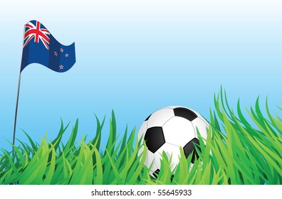 An illustrations of soccer ball, with a new zealand flag waving at the background.