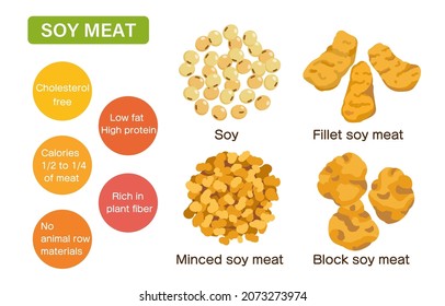 Illustrations of soybean meat of various shapes (soybean, minced meat, fillet, block).Easy-to-use vector material.