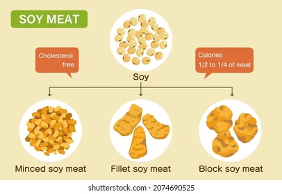 Illustrations of soybean meat of various shapes (soybean, minced meat, fillet, block).Easy-to-use vector material.