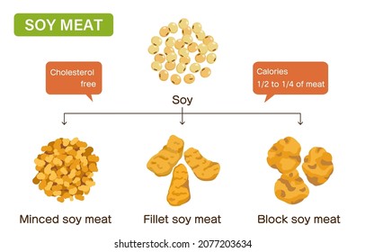 Illustrations of soybean meat of various shapes (soybean, minced meat, fillet, block).Easy-to-use vector material.