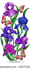 Ilustraciones de vidrieras con composiciones de iris, flores aisladas sobre un fondo blanco