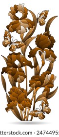 Illustrations of stained glass windows with compositions of irises, flowers isolated on a white background, tone brown