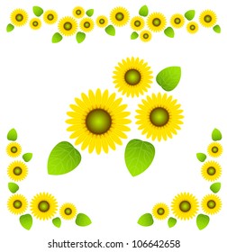 illustrations of sunflower