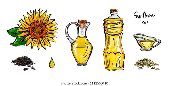 Illustrations of sunflower oil in bottles, and sunflower flowers. A handful of seeds and a drop of oil.