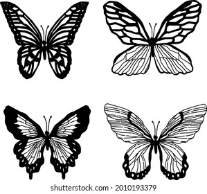 Illustrations of various butterflies in monochrome line drawings
