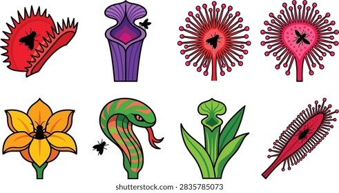Illustrations of various carnivorous plants and insects in nature