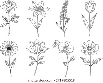 Ilustraciones de varias flores, incluyendo rosas, margaritas, lirios, orquídeas, tulipanes, lavanda y amapolas.
