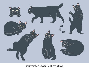 Illustrations of various poses of cute cats. Variations of black cats