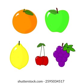 Illustrations of various types of fruit such as orange, green apple, lemon, cherries and grapes
