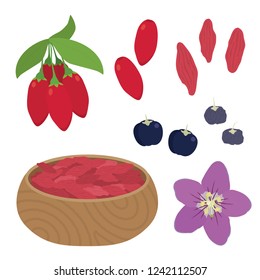 
Illustrations of various wolfberries