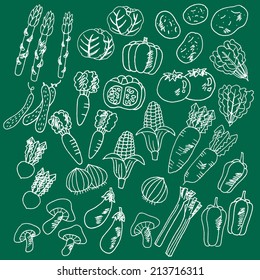 Illustrations of vegetables wrote by hand