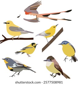 Illustrations of warblers, small birds, and yellow birds showcase their delicate and vibrant features. 