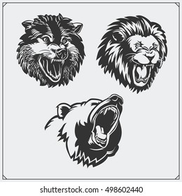 Illustrations of wild animals. Bear, lion and wolf.