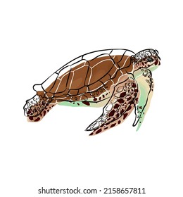 Illustration:Sea turtle image Beautiful, general assembly.