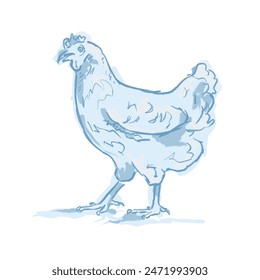 Ein illustrierendes blaues Huhn, inspiriert von Illustrationen von Toile-de-Jouy-Stoffen. Subtile Blautöne und ein skizzenhafter Stil, von Hand gezeichnet.