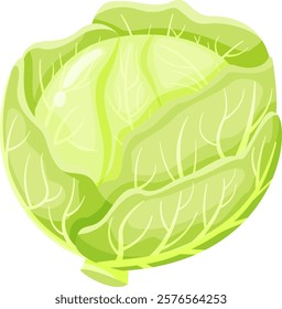 Illustrative depiction of a fresh green cabbage, showcasing intricate leaf patterns and vibrant color. Perfect for healthy eating, gardening, and organic produce themes