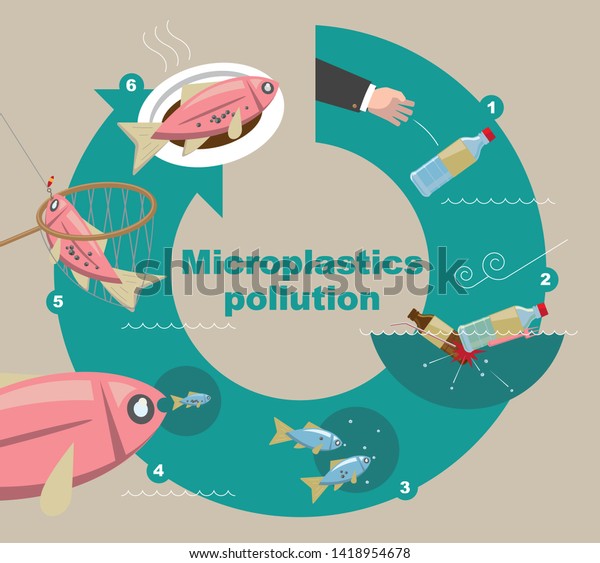 Illustrative Diagram How Microplastics Pollute Environment Stock Vector ...