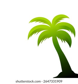 Illustrative image of a coconut tree.
