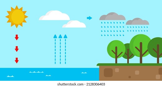 Illustrative model of the water cycle in nature. Educational illustration of science and geography.