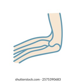 Illustrative Overview of Elbow Joint Anatomy