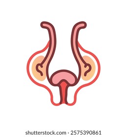 Illustrative Overview of Eustachian Tube Anatomy