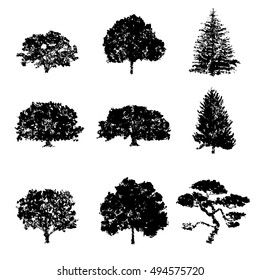 Illustratoin of tree